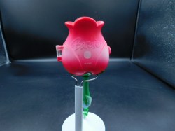 barbie flower case bk